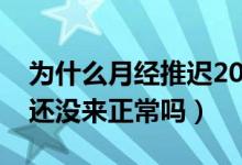 为什么月经推迟20天还没来（月经推迟20天还没来正常吗）