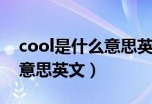 cool是什么意思英文网络用语（cool是什么意思英文）