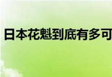 日本花魁到底有多可怕（日本花魁到底是啥）