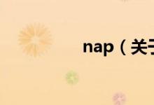 nap（关于nap的介绍）