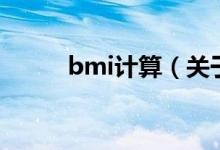 bmi计算（关于bmi计算的介绍）