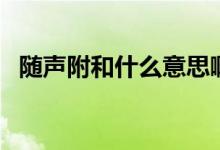 随声附和什么意思啊（随声附和什么意思）