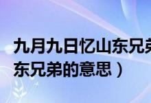 九月九日忆山东兄弟的意思是（九月九日忆山东兄弟的意思）