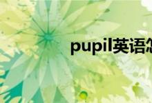 pupil英语怎么读（pupil）