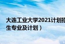 大连工业大学2021计划招生（大连工业大学2021年各省招生专业及计划）