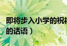 即将步入小学的祝福（宝贝即将步入小学祝福的话语）