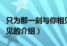 只为那一刻与你相见（关于只为那一刻与你相见的介绍）