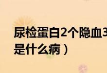 尿检蛋白2个隐血3个是什么病（尿检有隐血是什么病）