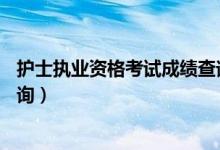 护士执业资格考试成绩查询19年（护士执业资格考试成绩查询）