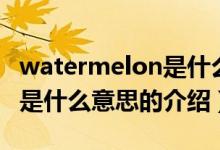 watermelon是什么意思（关于watermelon是什么意思的介绍）