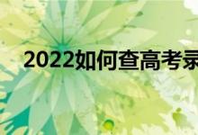 2022如何查高考录取结果（有什么窍门）