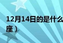 12月14日的是什么星座（12月14日是什么星座）