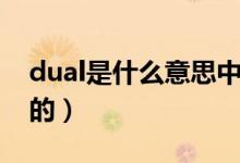 dual是什么意思中文（dual是什么意思车上的）