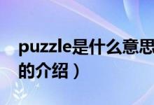 puzzle是什么意思（关于puzzle是什么意思的介绍）