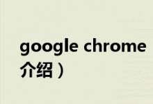 google chrome（关于google chrome的介绍）