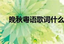 晚秋粤语歌词什么意思（晚秋粤语歌词）