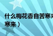 什么梅花香自苦寒来下一句（什么梅花香自苦寒来）