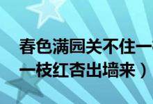 春色满园关不住一枝红杏（春色满园关不住 一枝红杏出墙来）