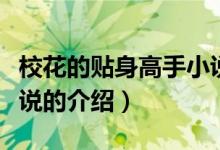 校花的贴身高手小说（关于校花的贴身高手小说的介绍）