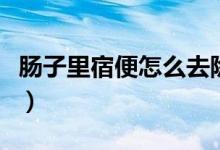 肠子里宿便怎么去除（大肠水疗排出宿便图片）