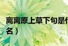 离离原上草下句是什么（离离原上草全诗的诗名）