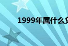 1999年属什么兔（1999年属什么）