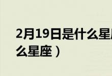 2月19日是什么星座1966年（2月19日是什么星座）