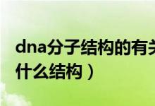 dna分子结构的有关计算（dna分子的结构是什么结构）