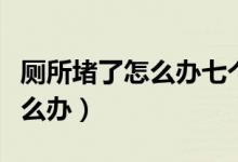 厕所堵了怎么办七个妙招搞定它（厕所堵了怎么办）