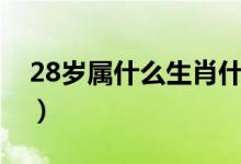 28岁属什么生肖什么星座（28岁属什么生肖）