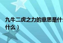 九牛二虎之力的意思是什么并造句（九牛二虎之力的意思是什么）