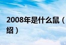 2008年是什么鼠（关于2008年是什么鼠的介绍）