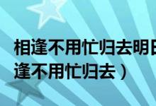 相逢不用忙归去明日黄花蝶也愁什么意思（相逢不用忙归去）