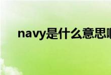 navy是什么意思啊（navy是什么颜色）