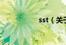 sst（关于sst的介绍）