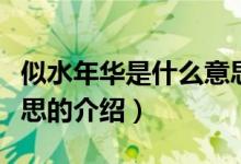 似水年华是什么意思（关于似水年华是什么意思的介绍）