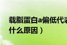 载脂蛋白a偏低代表什么（载脂蛋白a偏低是什么原因）