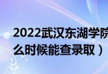 2022武汉东湖学院录取时间及查询入口（什么时候能查录取）