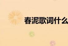 春泥歌词什么水平（春泥歌词）