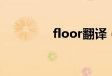 floor翻译（floor怎么读）