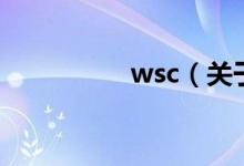 wsc（关于wsc的介绍）