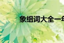 象组词大全一年级下册（象组词）