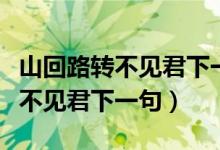 山回路转不见君下一句诗句是什么（山回路转不见君下一句）