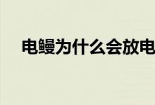 电鳗为什么会放电（电鳗为什么会放电）