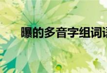 曝的多音字组词语（曝的多音字组词）