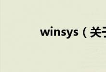 winsys（关于winsys的介绍）