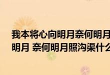 我本将心向明月奈何明月照沟渠是什么意思?（我本将心向明月 奈何明月照沟渠什么意思）