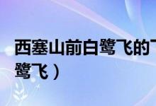 西塞山前白鹭飞的下一句是什么（西塞山前白鹭飞）