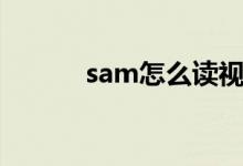 sam怎么读视频（sam怎么读）