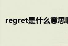 regret是什么意思啊（regret是什么意思）